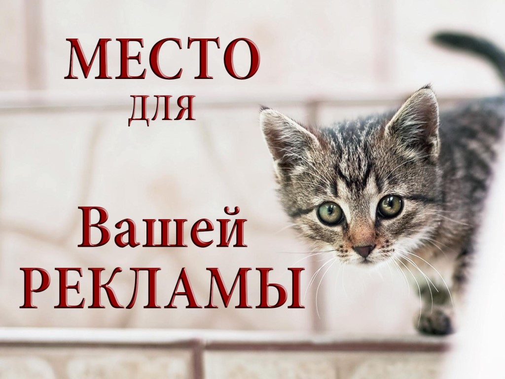 Здесь может быть ваша реклама